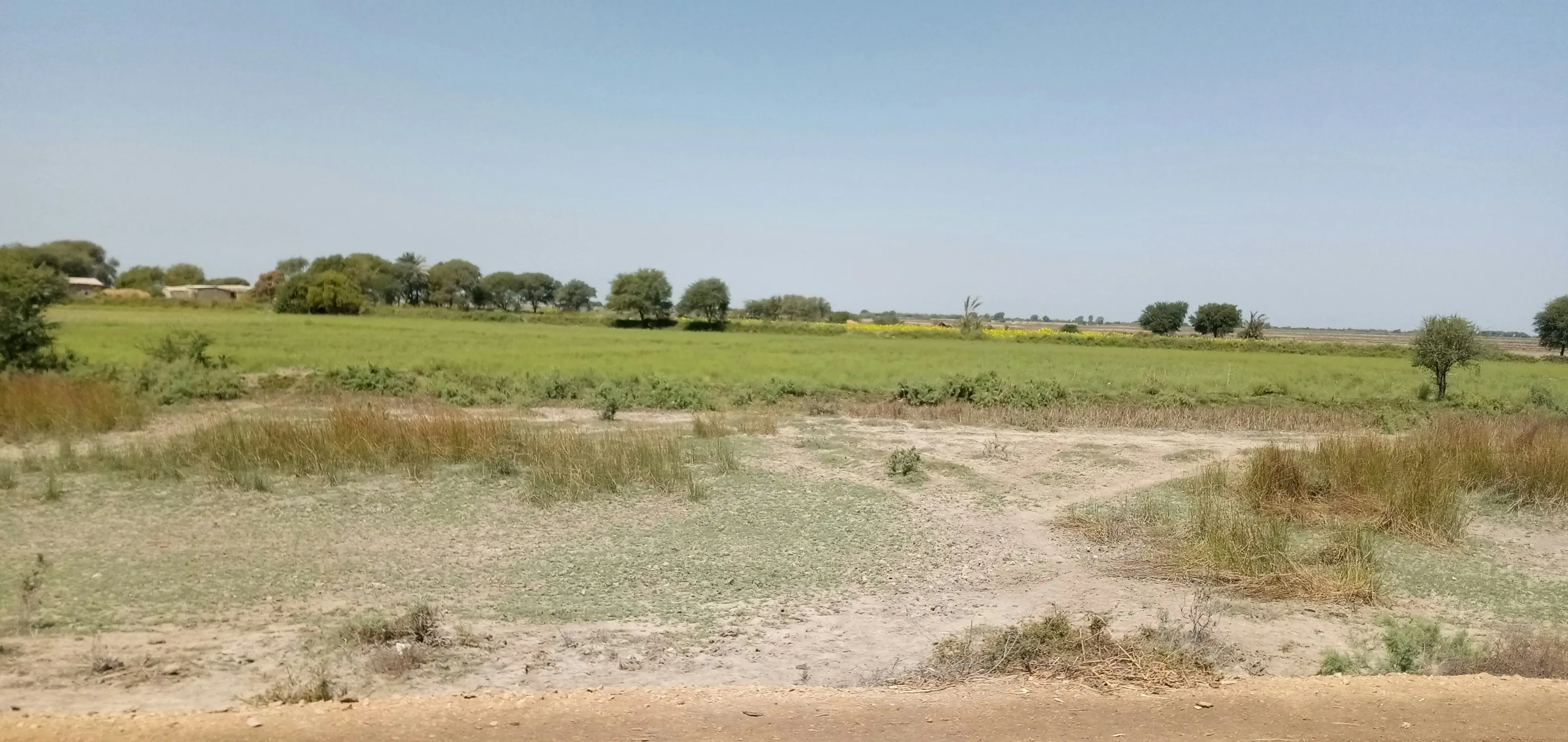 Top terrain